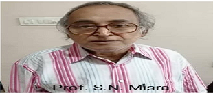Prof. Surya Narayan Misra