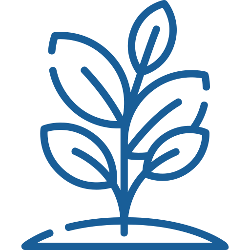 Biotic & Abiotic Stress Resilience of Plants. 
