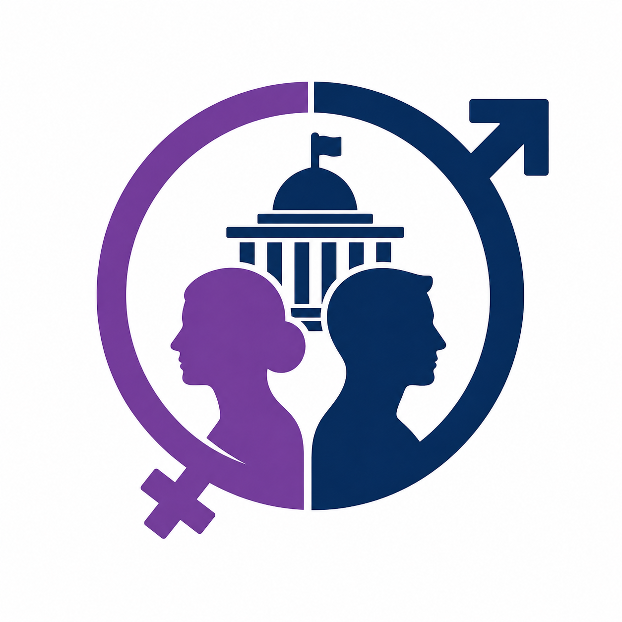 Gender and Politics