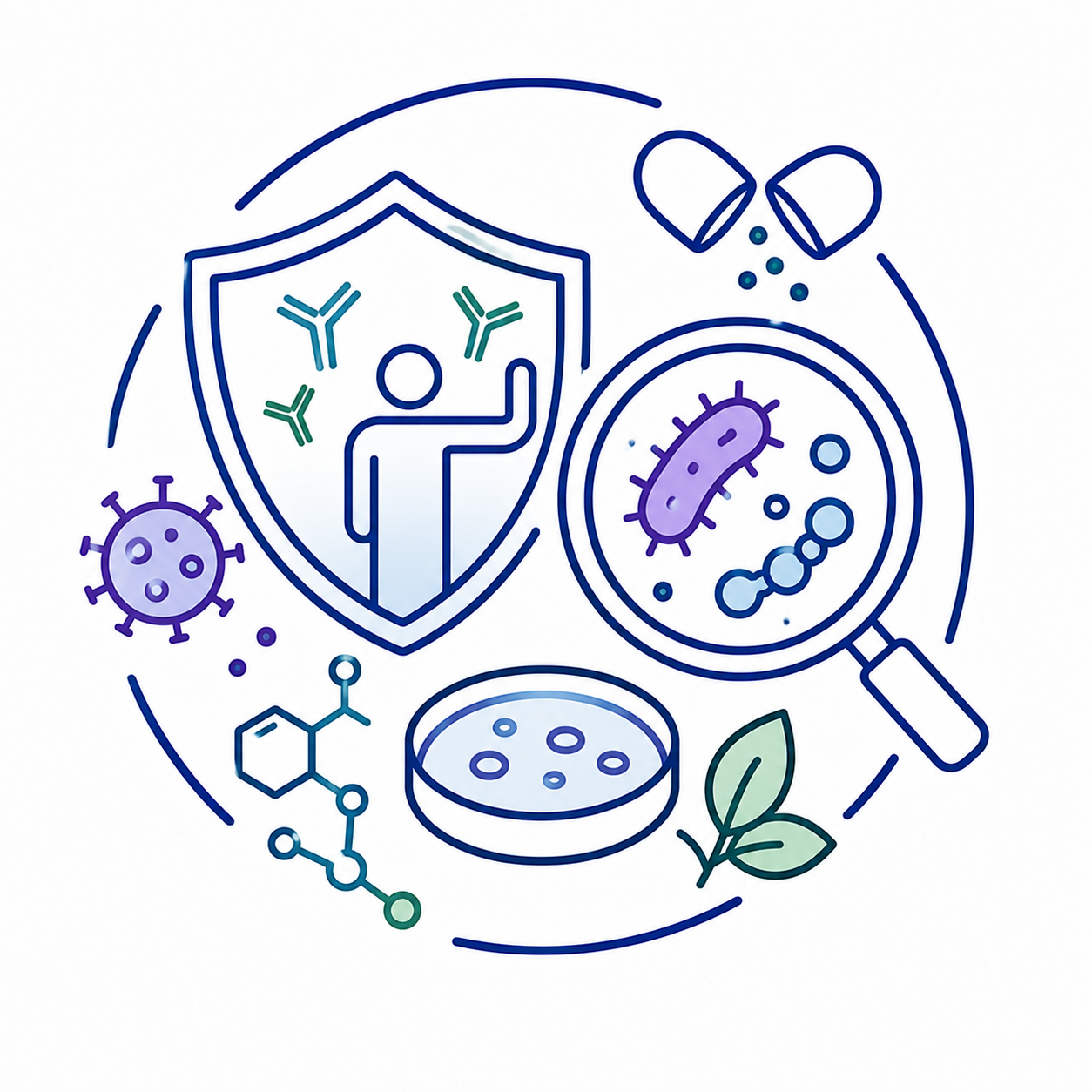 Immunology and Antimicrobial studies