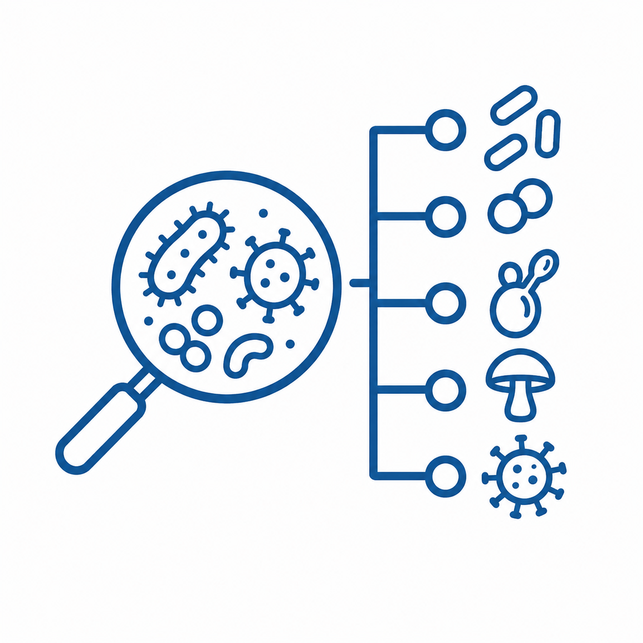 Microbial Diversity and Taxonomy